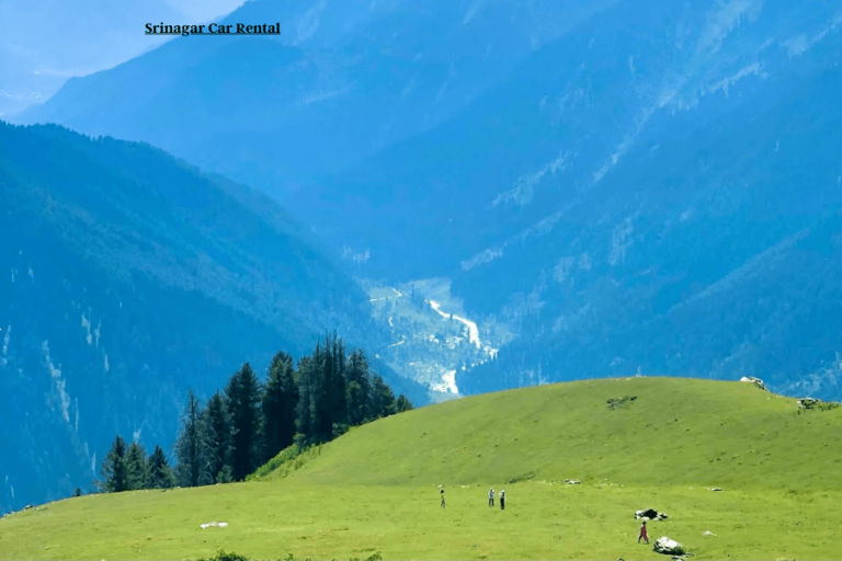 Aru Valley Pahalgam | Top Things to Do & Best Time to Visit